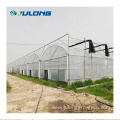 Customized Agricultural Vegetable Greenhouses